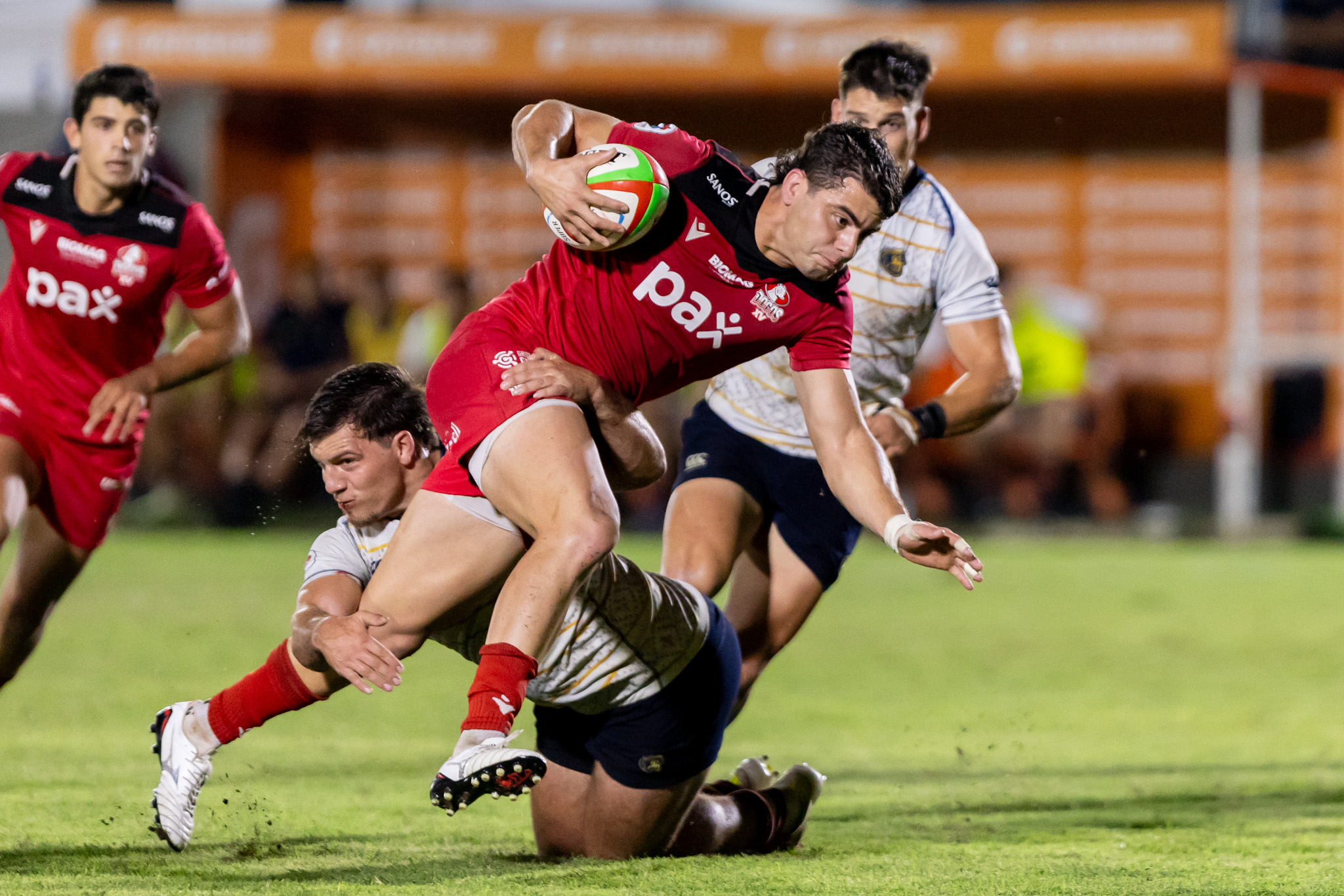 Dogos XV - Pampas: una rivalidad que define el nuevo panorama del rugby argentino